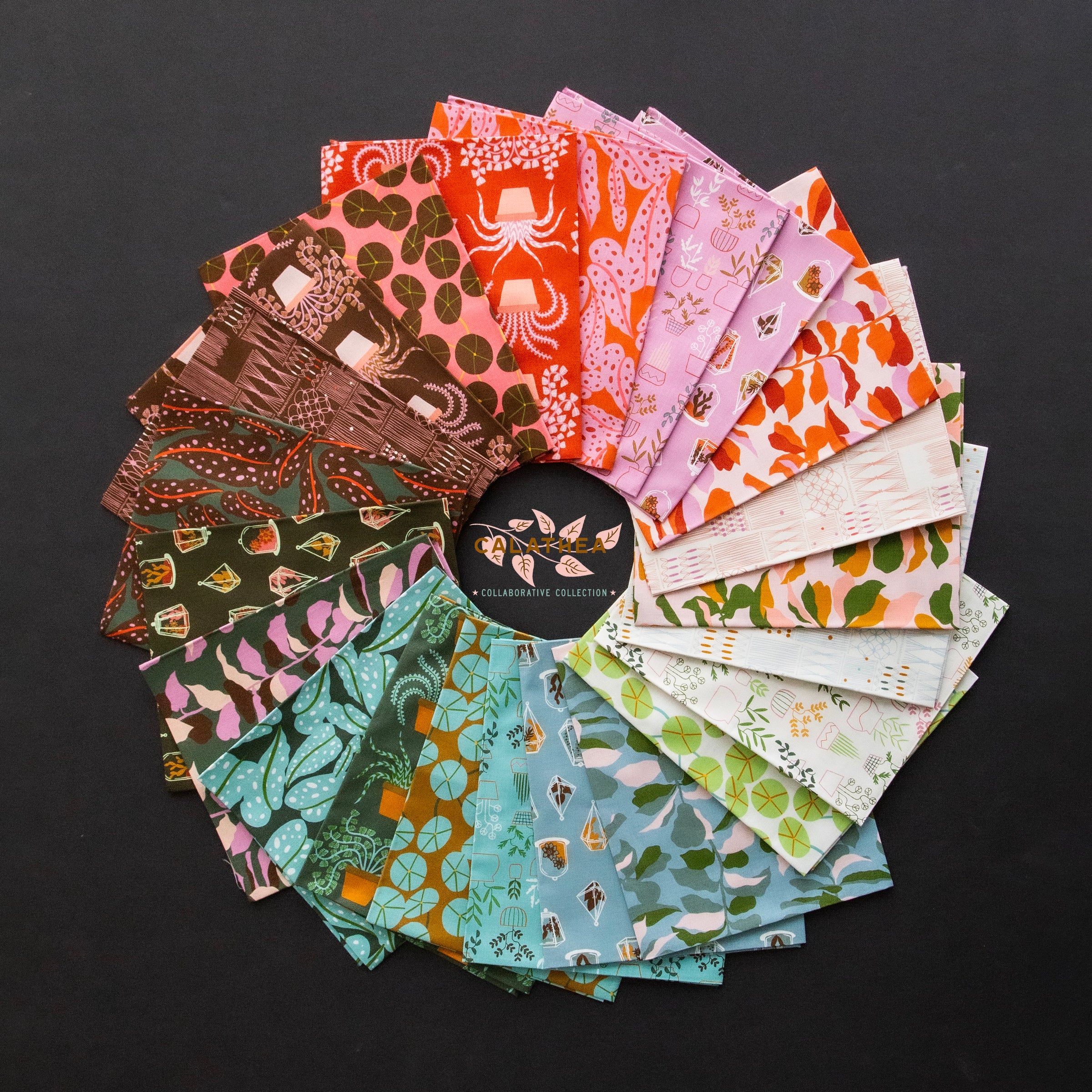 PRE-ORDER Calathea Full Collection Bundle // Ruby Star Society