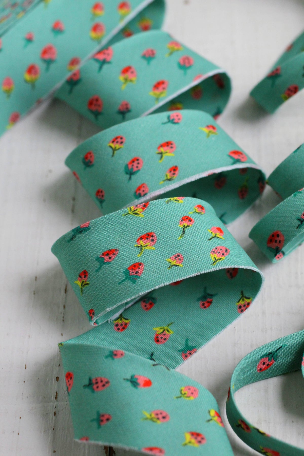 2.5" Bias Quilt Binding // Field Strawberries in Teal