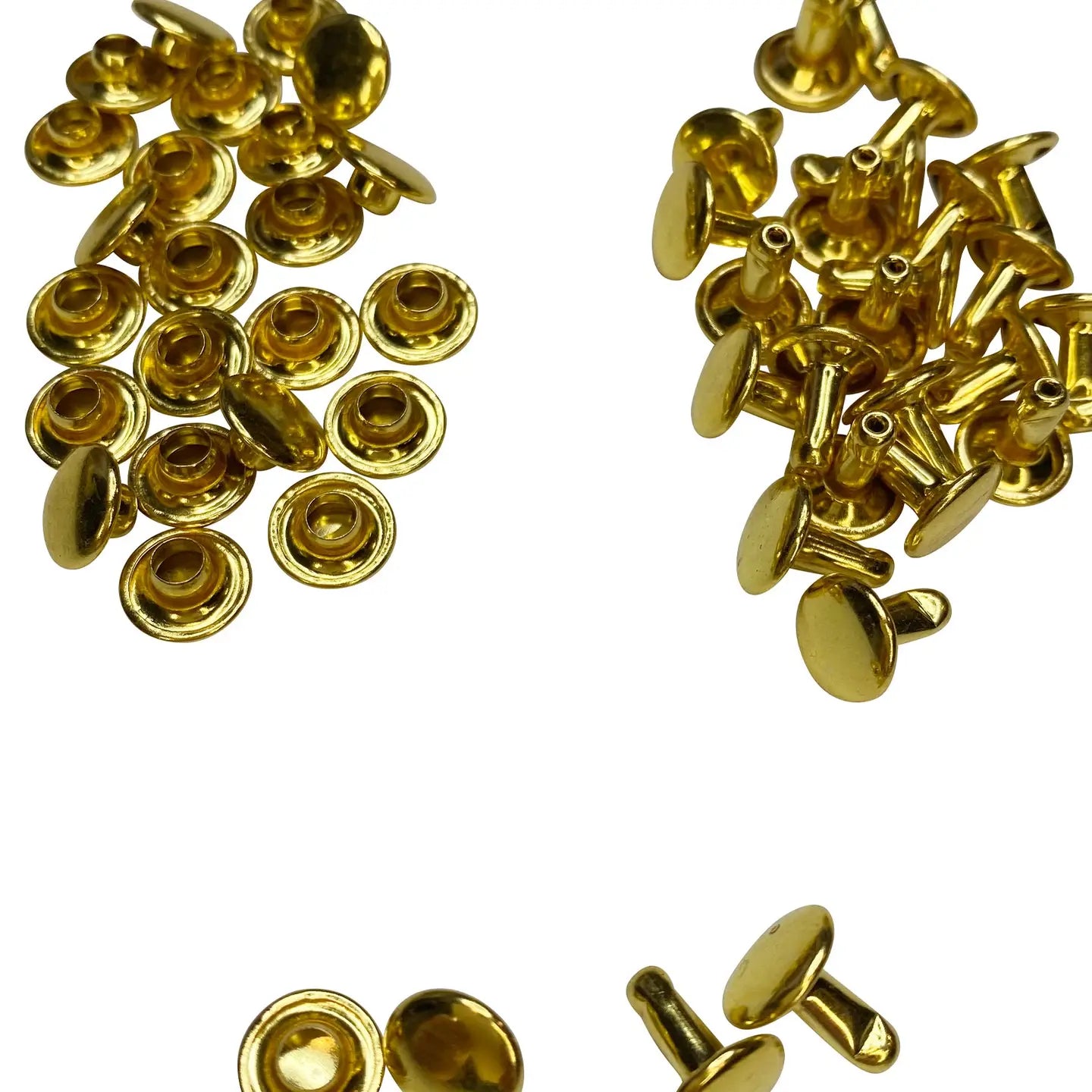 Gold Rivets // Sassafras Lane