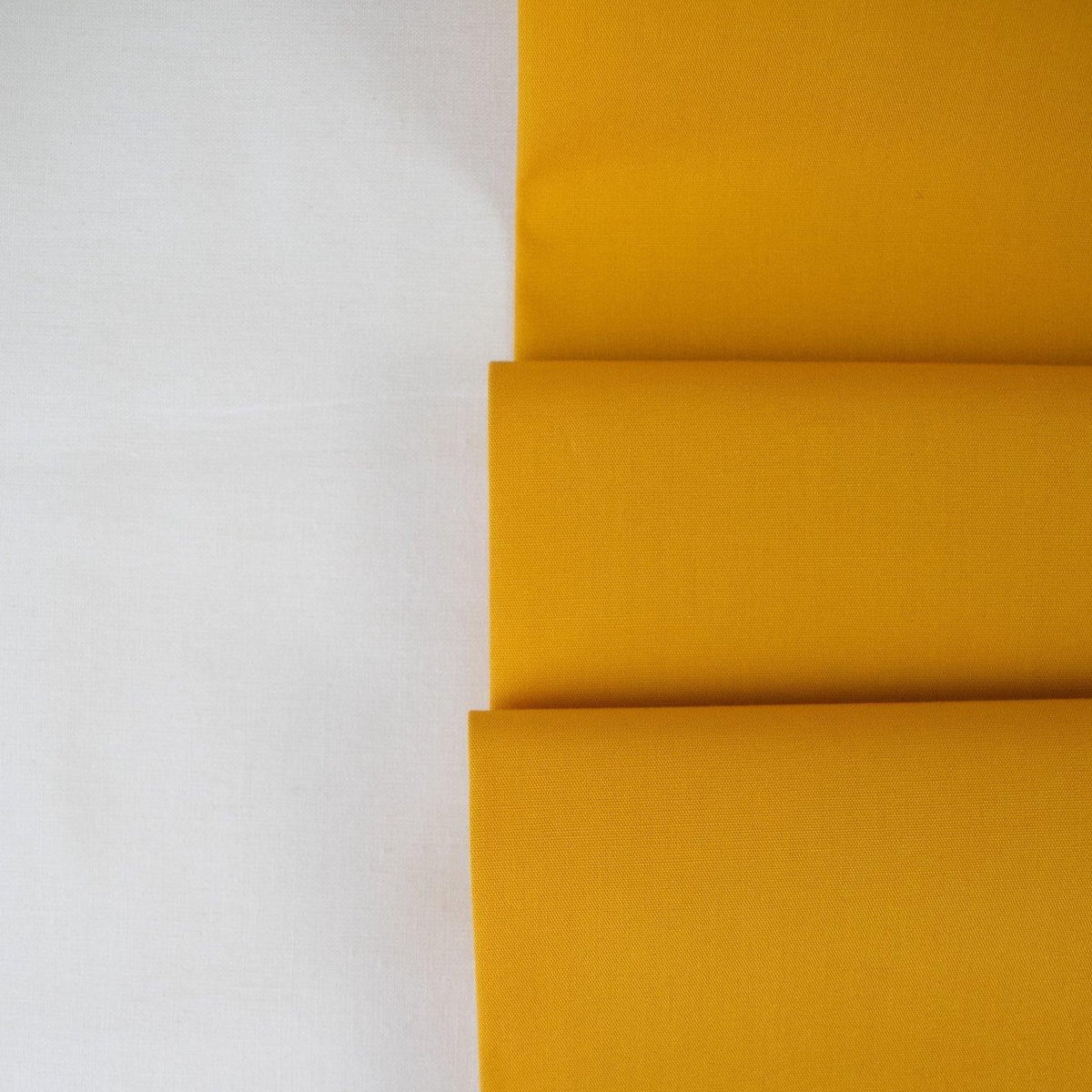 AGF PURE Solids // Turmeric