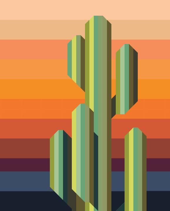 Saguaro Sunset Kit // Christina Cameli