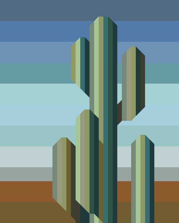 Saguaro Day Sky Kit // Christina Cameli